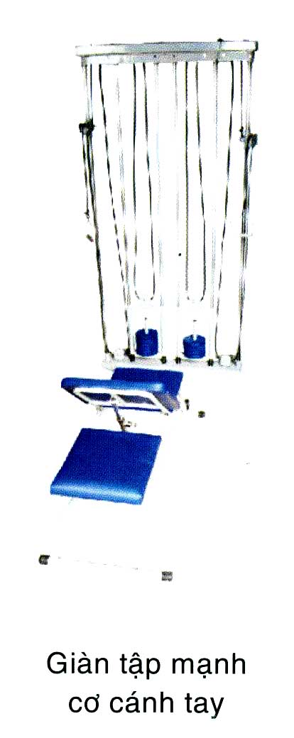 Ghế tập mạnh cơ cánh tay